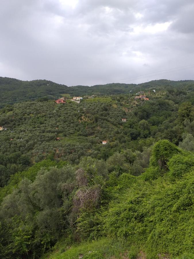 萨尔扎纳Casa Di Vecchio Borgo别墅 外观 照片